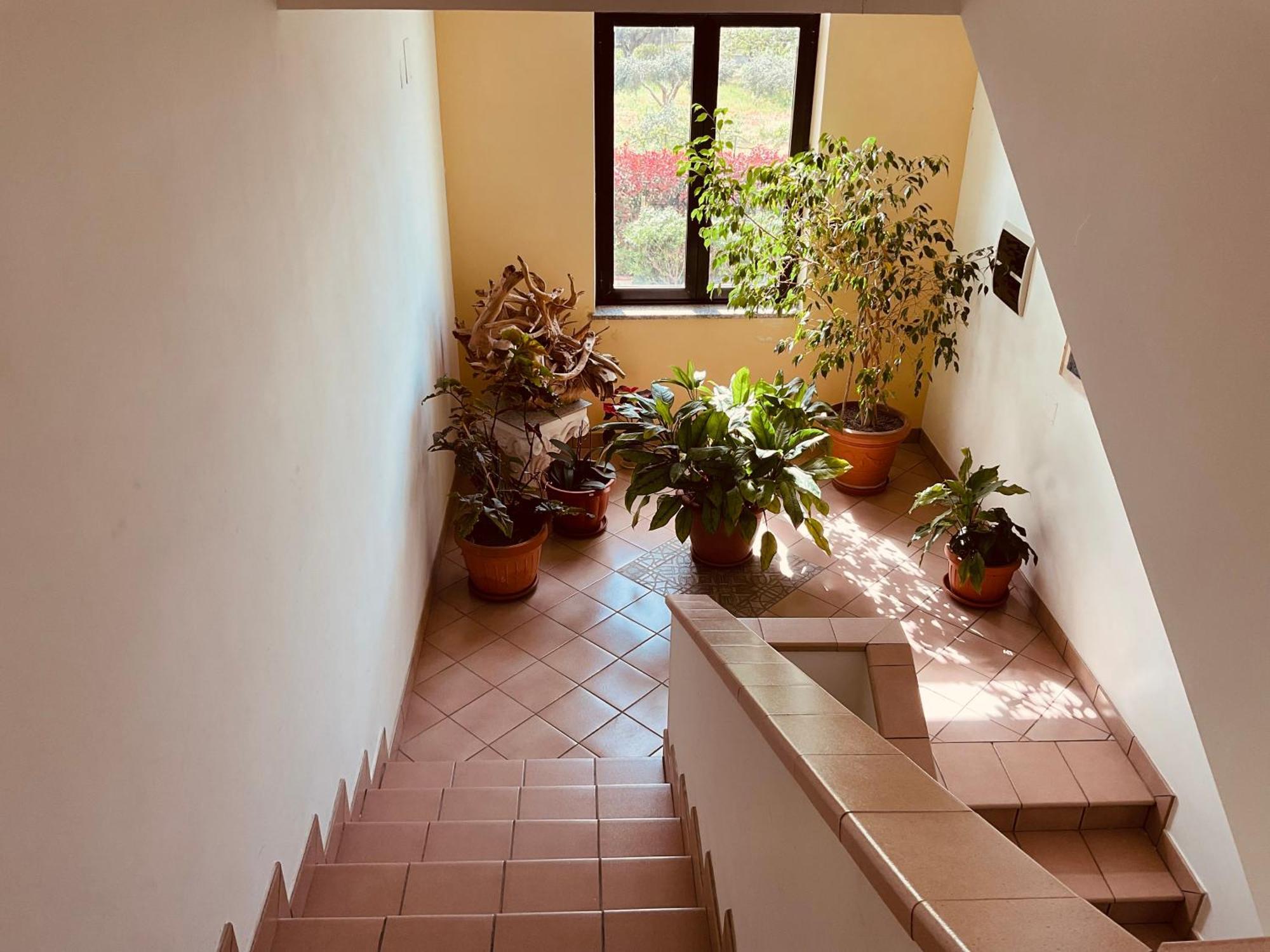 Fuscaldo Casa Vacanza Demetra מראה חיצוני תמונה