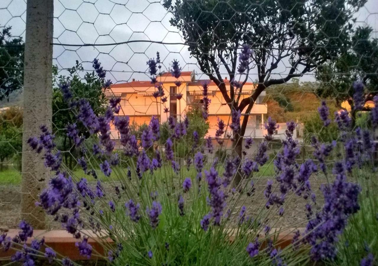 Fuscaldo Casa Vacanza Demetra מראה חיצוני תמונה